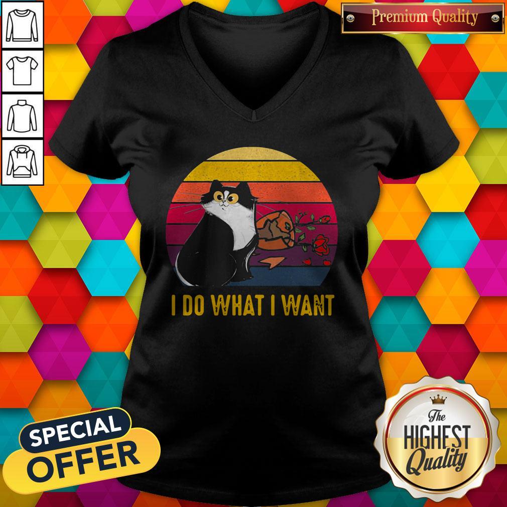 Nice Cat Broke Vase I Do What I Want Vintage Retro Shirt - Image 4