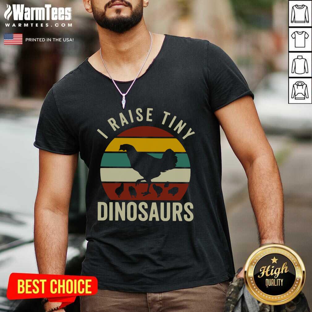 Nice Chickens I Raise Tiny Dinosaurs Vintage Retro Shirt - Image 5