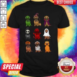 Nice Dachshunds Halloween Shirt