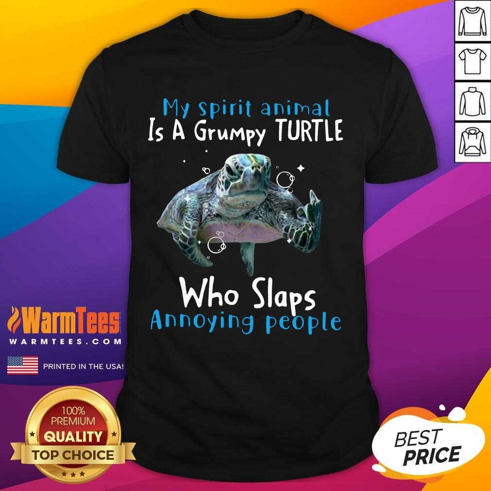 Nice My Spirit Animal Is Grumpy Turtle Shirt