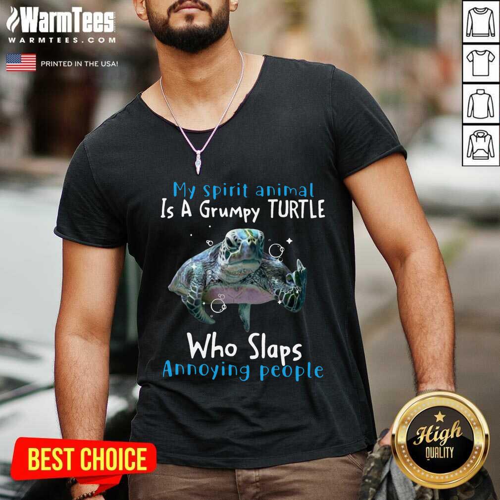 Nice My Spirit Animal Is Grumpy Turtle Shirt - Image 5