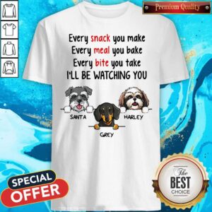 Official Every Snack You Make I’ll Be Watching You Santa Grey Harley Shirt