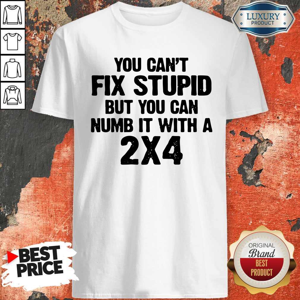 Original You Can't Fix Stupid Shirt