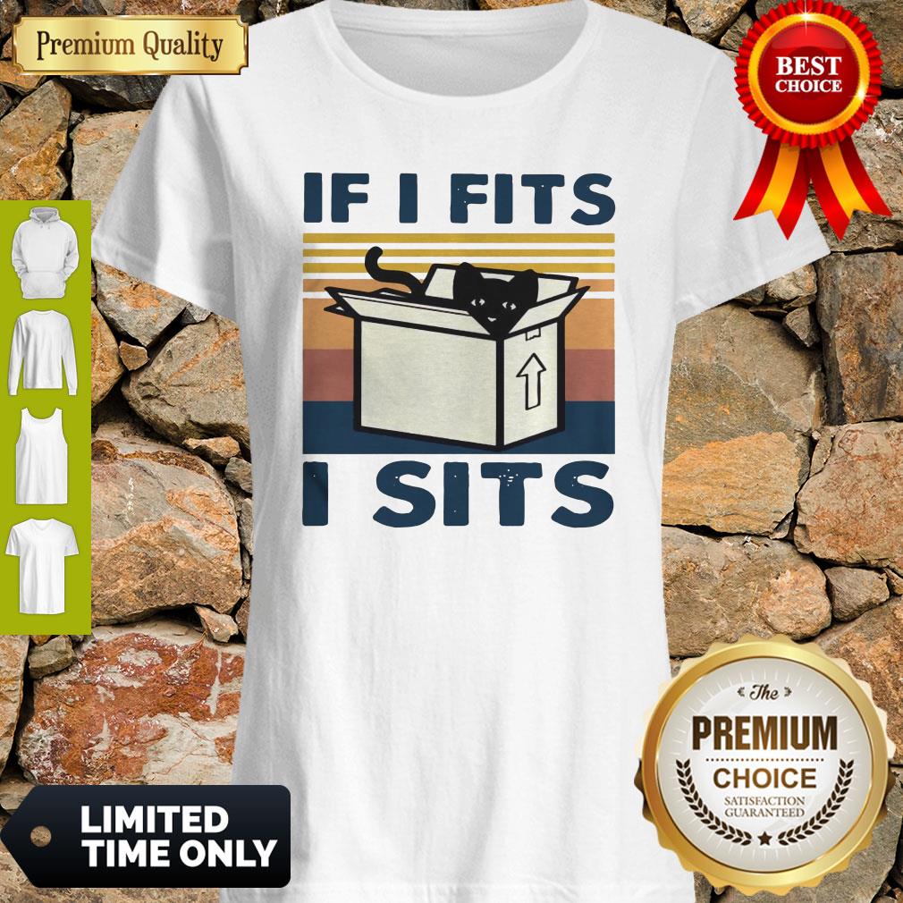 Perfect Cat In Box If I Fits I Sits Vintage Shirt
