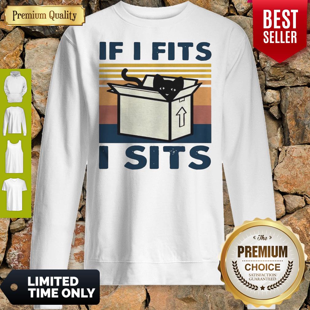 Perfect Cat In Box If I Fits I Sits Vintage Shirt - Image 5