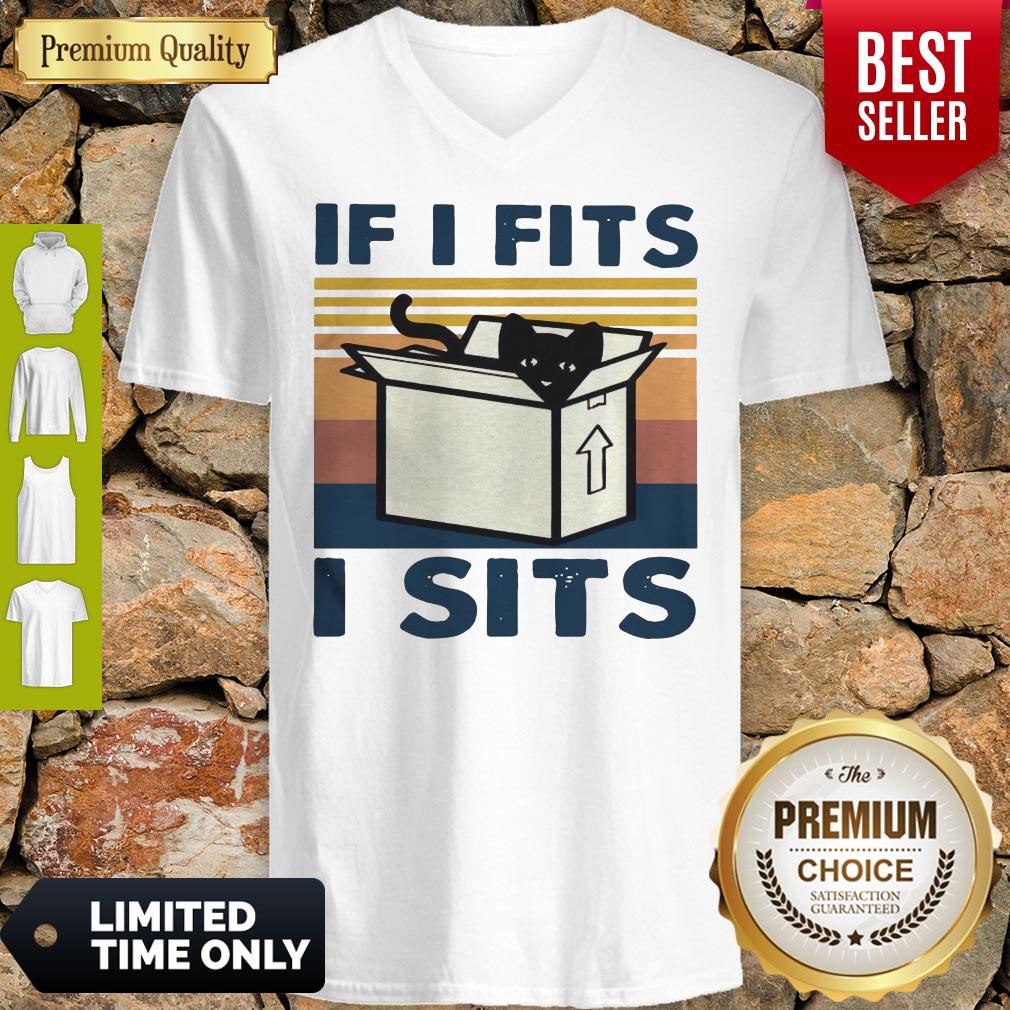 Perfect Cat In Box If I Fits I Sits Vintage Shirt - Image 3