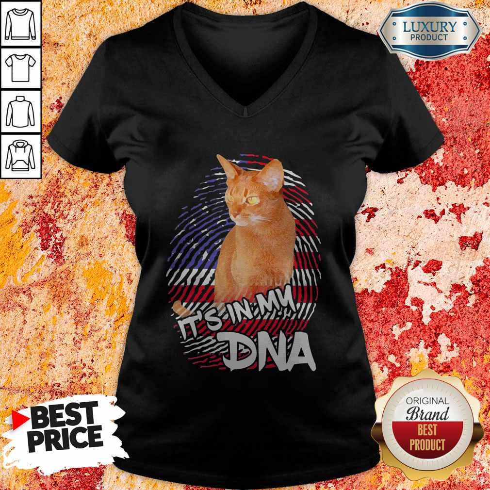 Perfect Cat It’s In My DNA American Shirt - Image 3