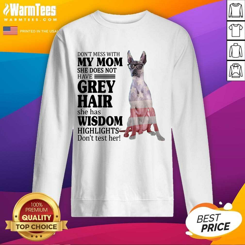 Perfect Xoloitzcuintli My Mom Grey Hair Wisdom Highlights American Flag Shirt - Image 5