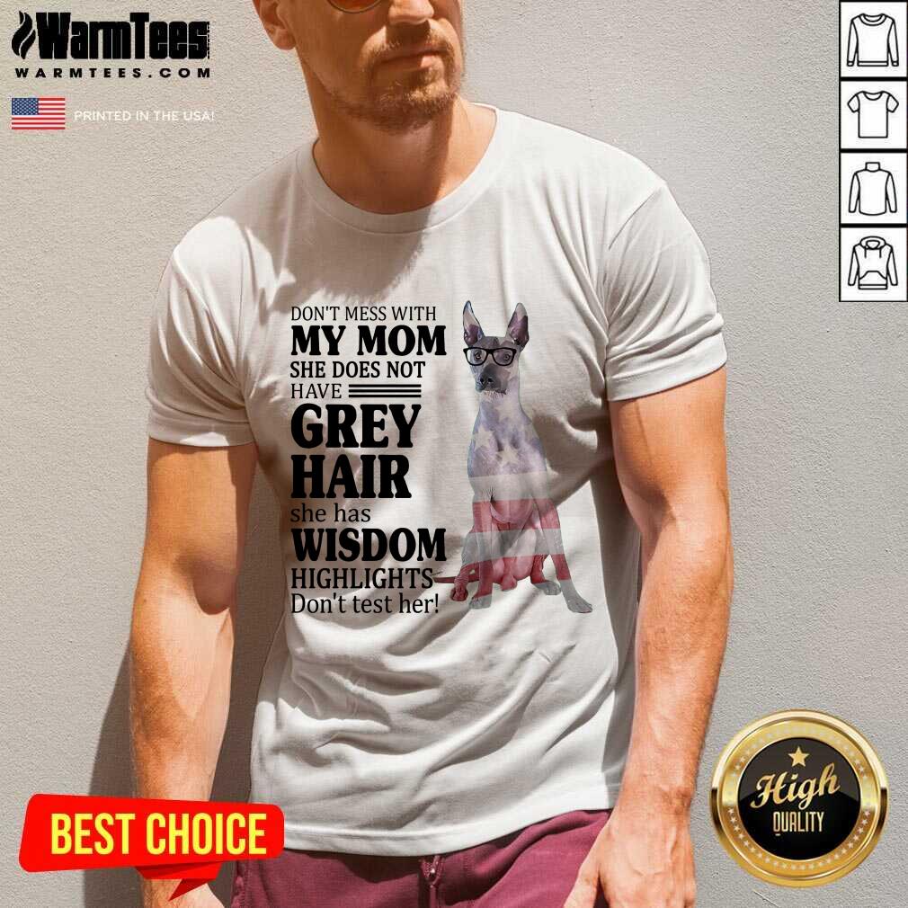 Perfect Xoloitzcuintli My Mom Grey Hair Wisdom Highlights American Flag Shirt - Image 3
