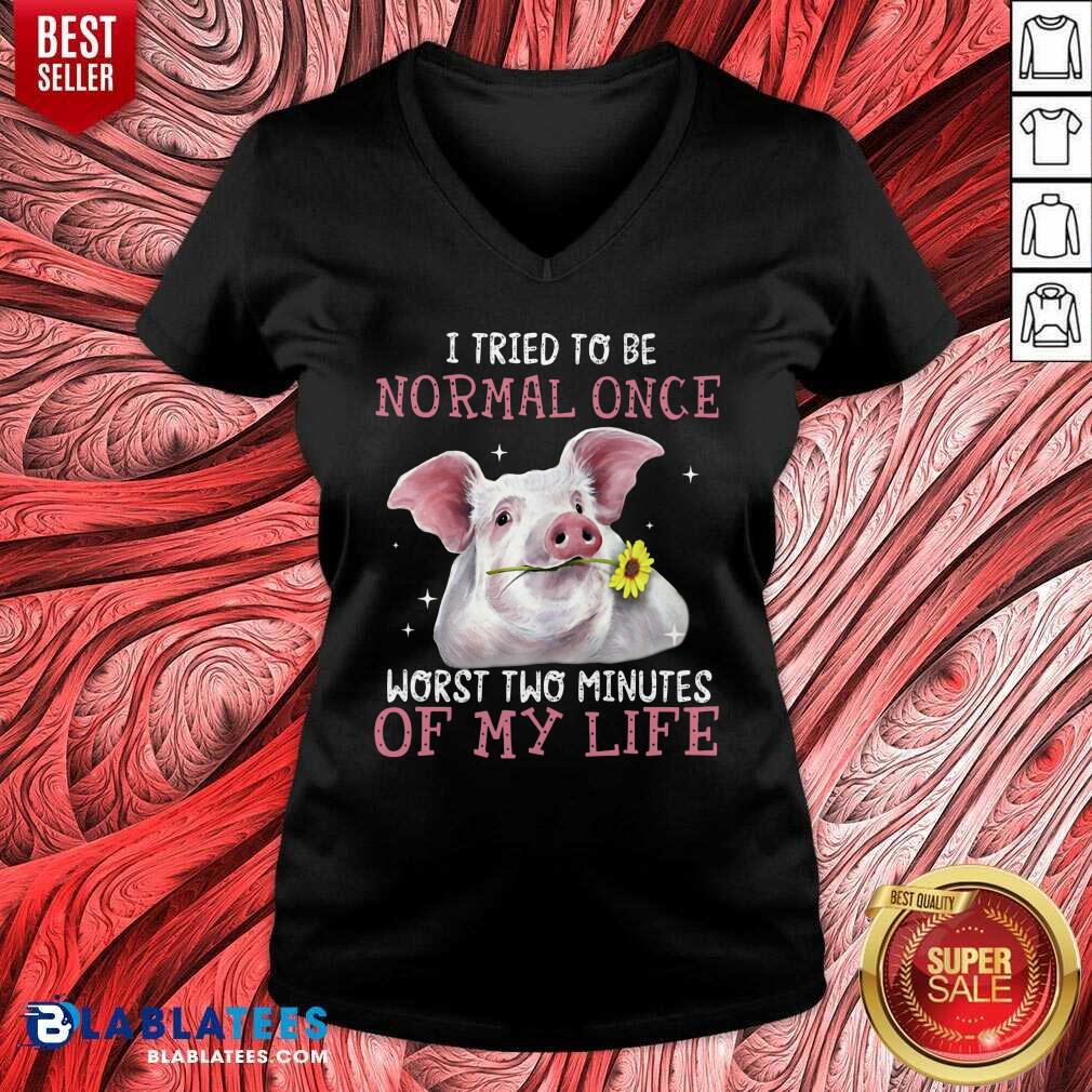 Pig I Tried To Be Normal Once Of My Life Shirt - Image 2