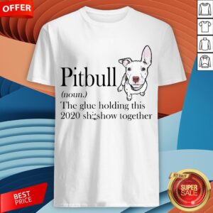 Pitbull The Glue Holding This 2020 Shitshow Together Shirt