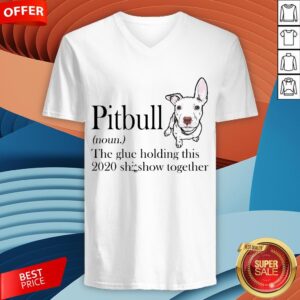 Alternative view of Pitbull The Glue Holding This 2020 Shitshow Together Shirt