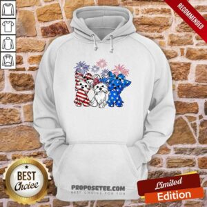 Alternative view of Pomeranian Dog USA Flag 4th Of July Shirt