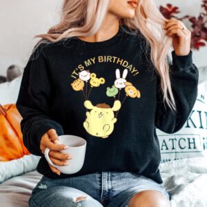Alternative view of Pompompurin Its My Birthday Shirt