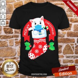 Premium Cute Cat Face Mask Funny Christmas Stocking Shirt