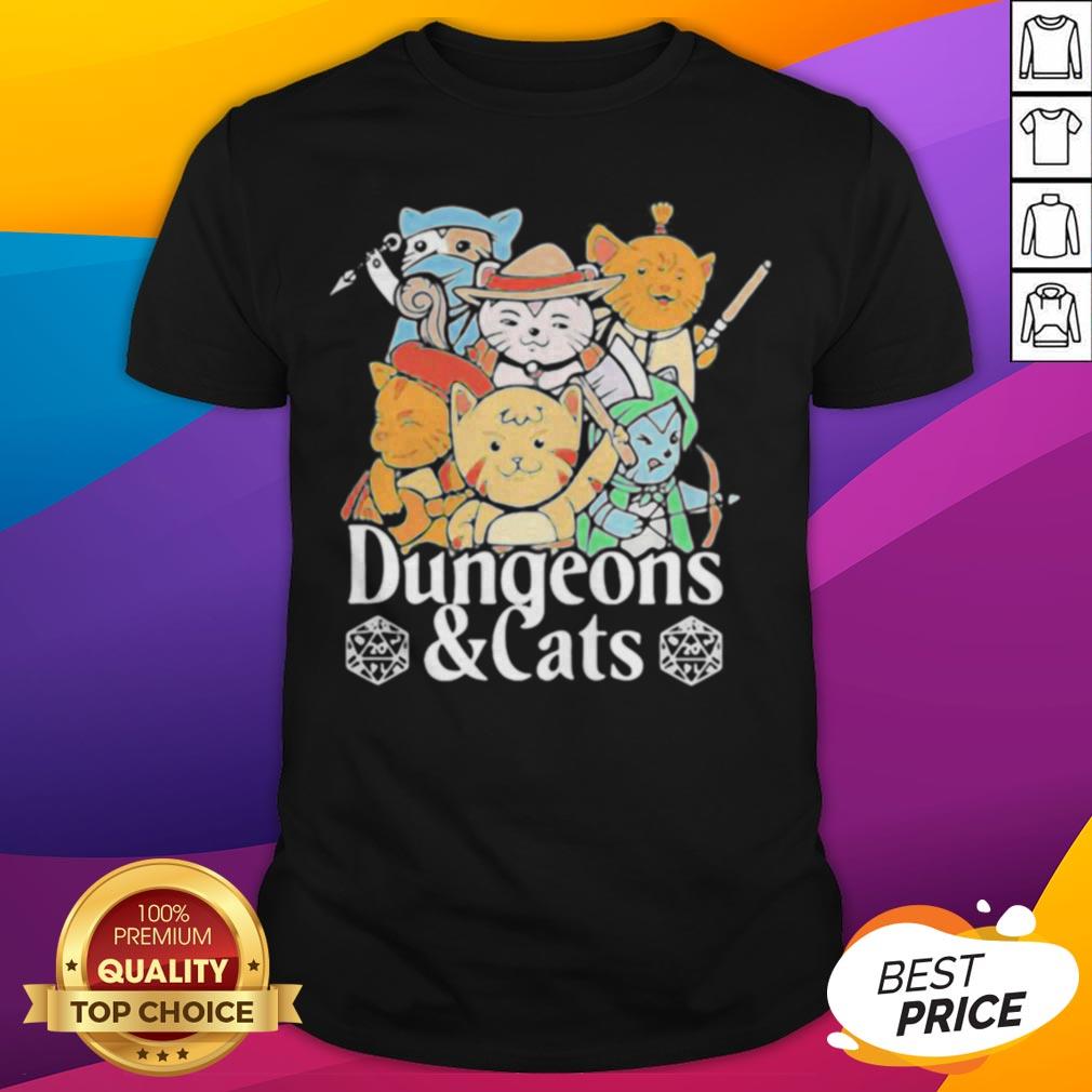Premium Dungeons And Cats Game Characters Art Shirt