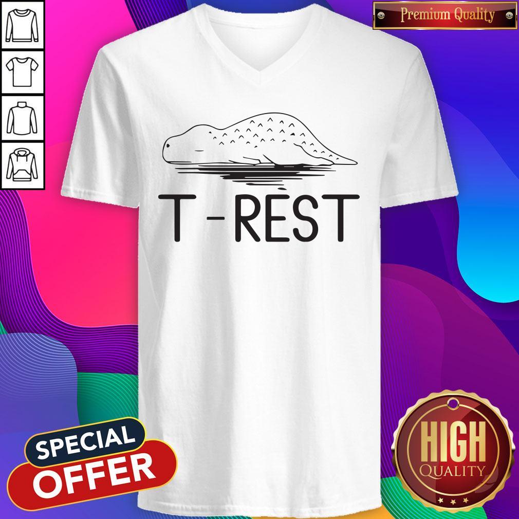 Premium I Like So Much T Rest T Rex Shirt - Image 2