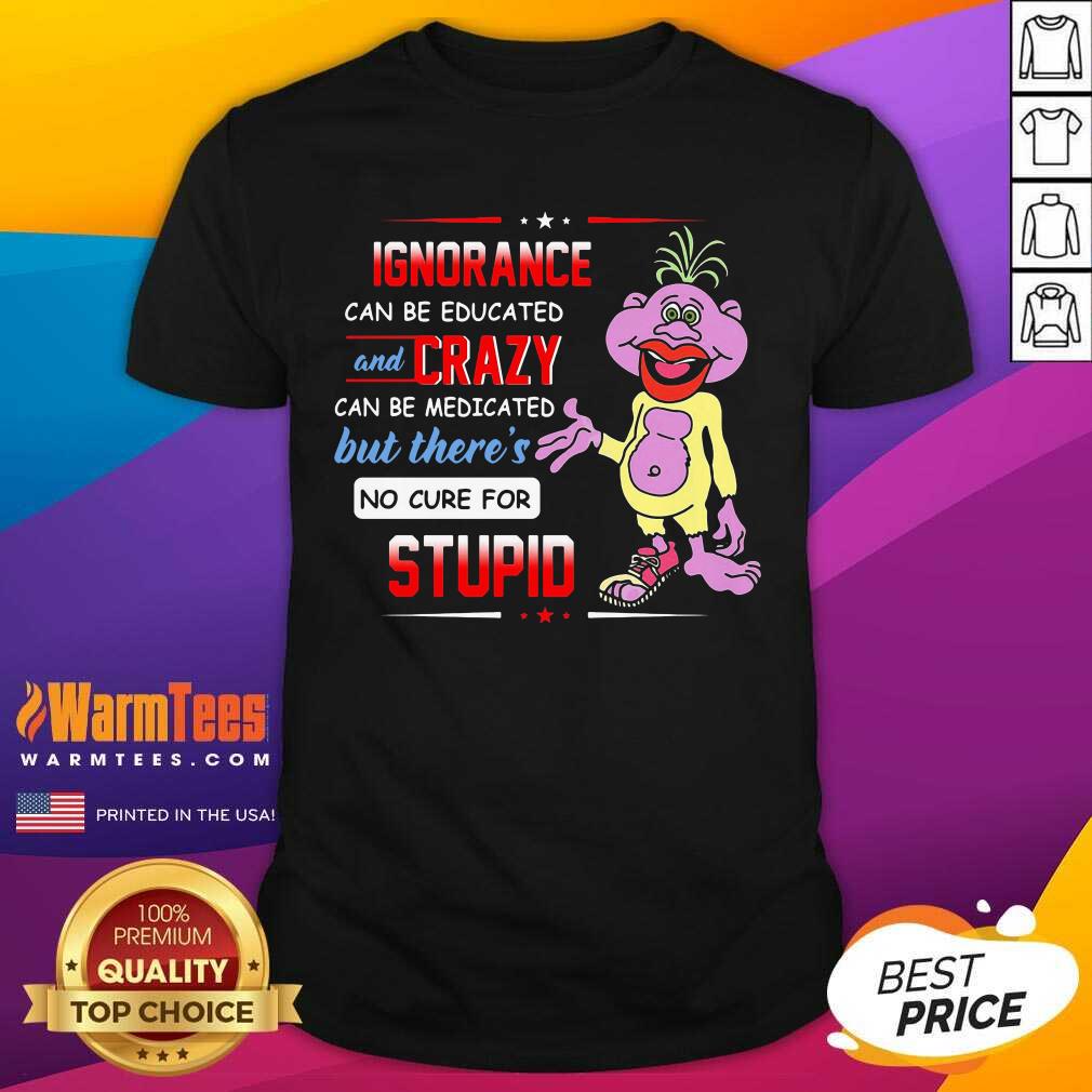 Premium Ignorance Can Be Educated And Crazy Can Be Medicated But There's No Cure For Stupid Shirt