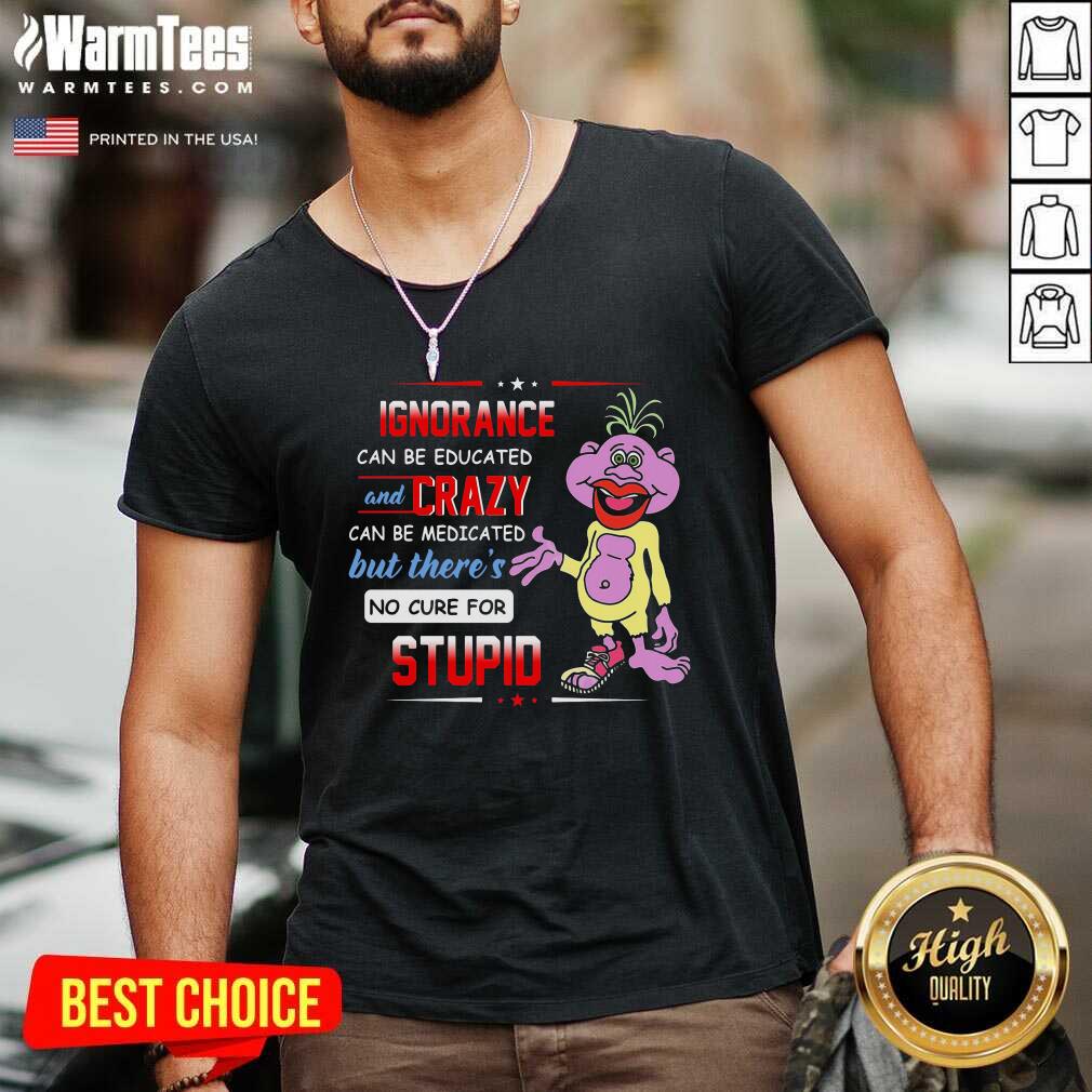 Premium Ignorance Can Be Educated And Crazy Can Be Medicated But There's No Cure For Stupid Shirt - Image 5