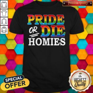 Premium LGBT Pride Or Die Homies Shirt