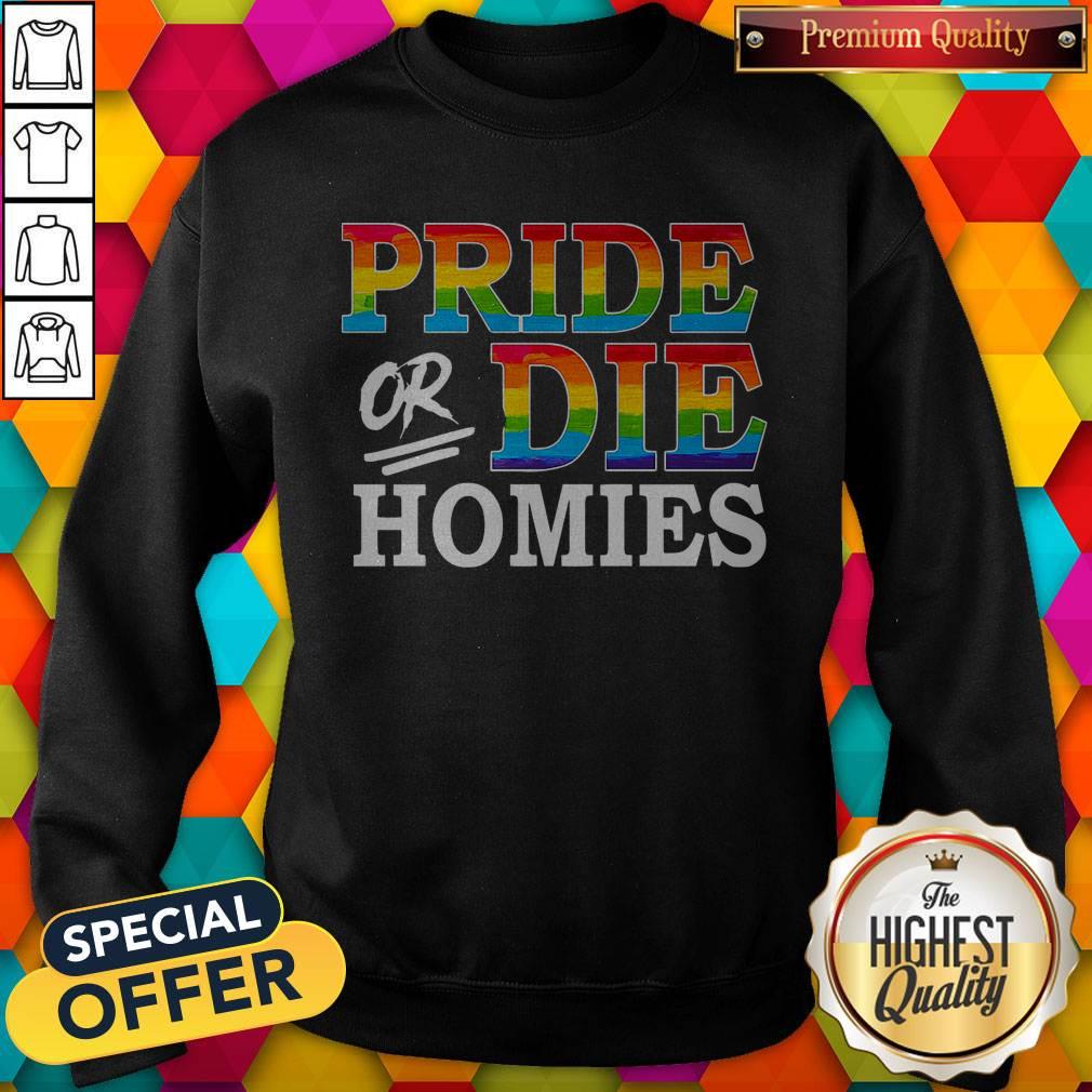 Premium LGBT Pride Or Die Homies Shirt - Image 5