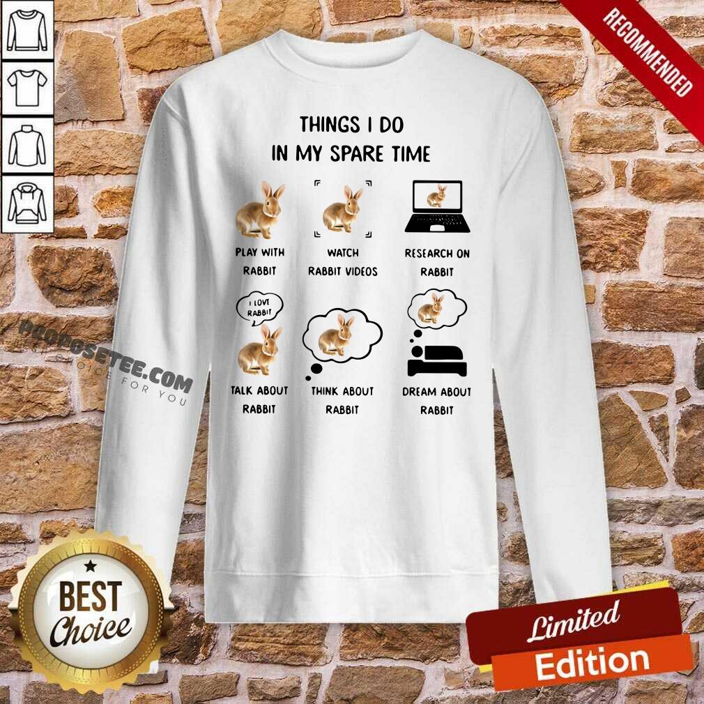 Premium Things I Do In My Spare Time Play With Rabbit Watch Rabbit Videos Research On Rabbit Shirt - Image 4