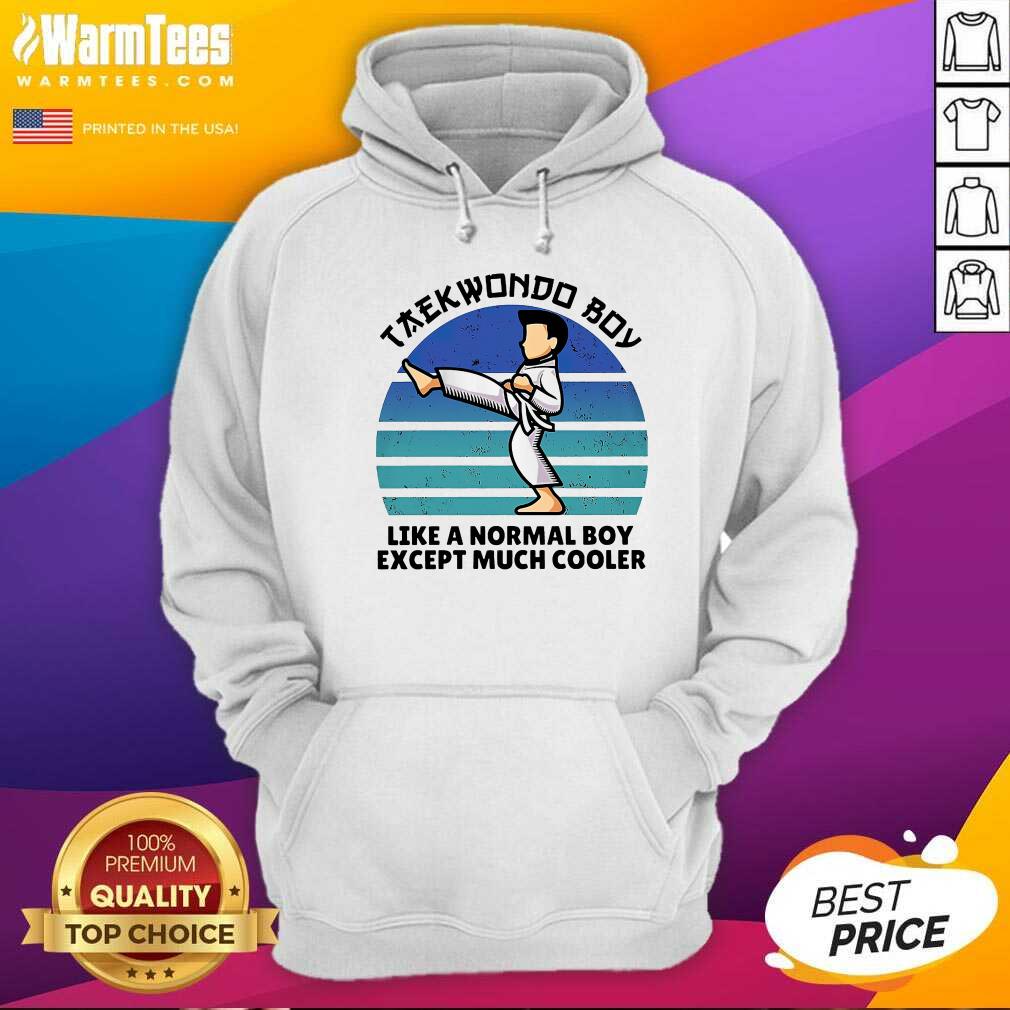 Premium Vintage Taekwondo Boy Like A Normal Boy Except Much Cooler Shirt - Image 2