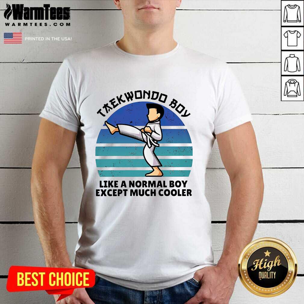 Premium Vintage Taekwondo Boy Like A Normal Boy Except Much Cooler Shirt