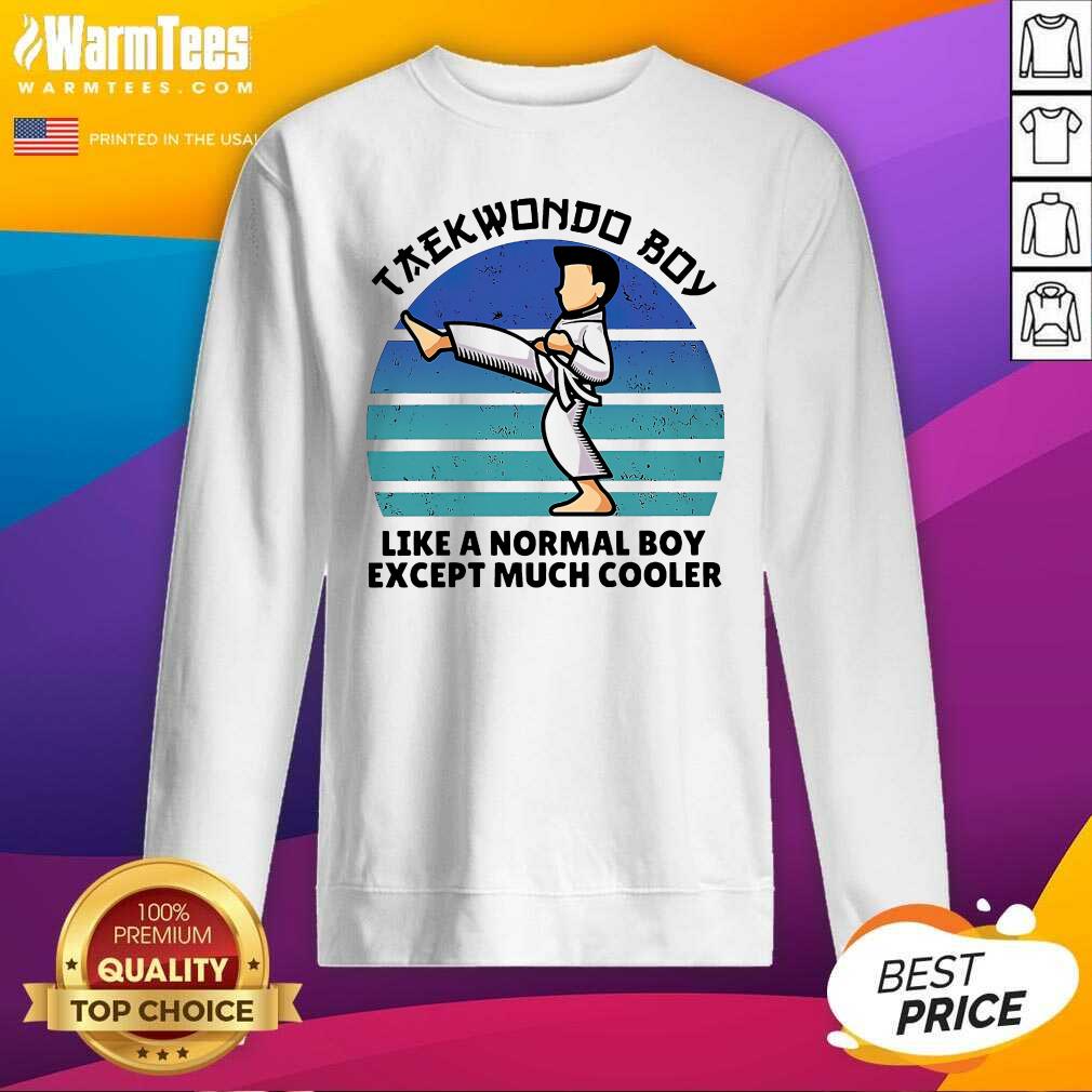 Premium Vintage Taekwondo Boy Like A Normal Boy Except Much Cooler Shirt - Image 3