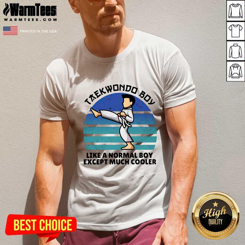Premium Vintage Taekwondo Boy Like A Normal Boy Except Much Cooler Shirt - Image 5