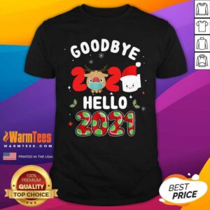 Pretty Goodbye 2020 Toilet Paper Santa Hello 2021 Shirt