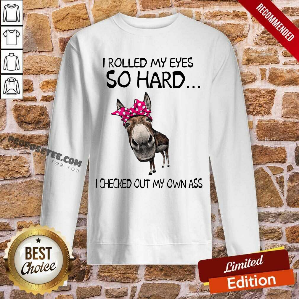 Pretty I Rolled My Eyes So Hard I Checked Out My Own Ass Donkey Shirt - Image 5
