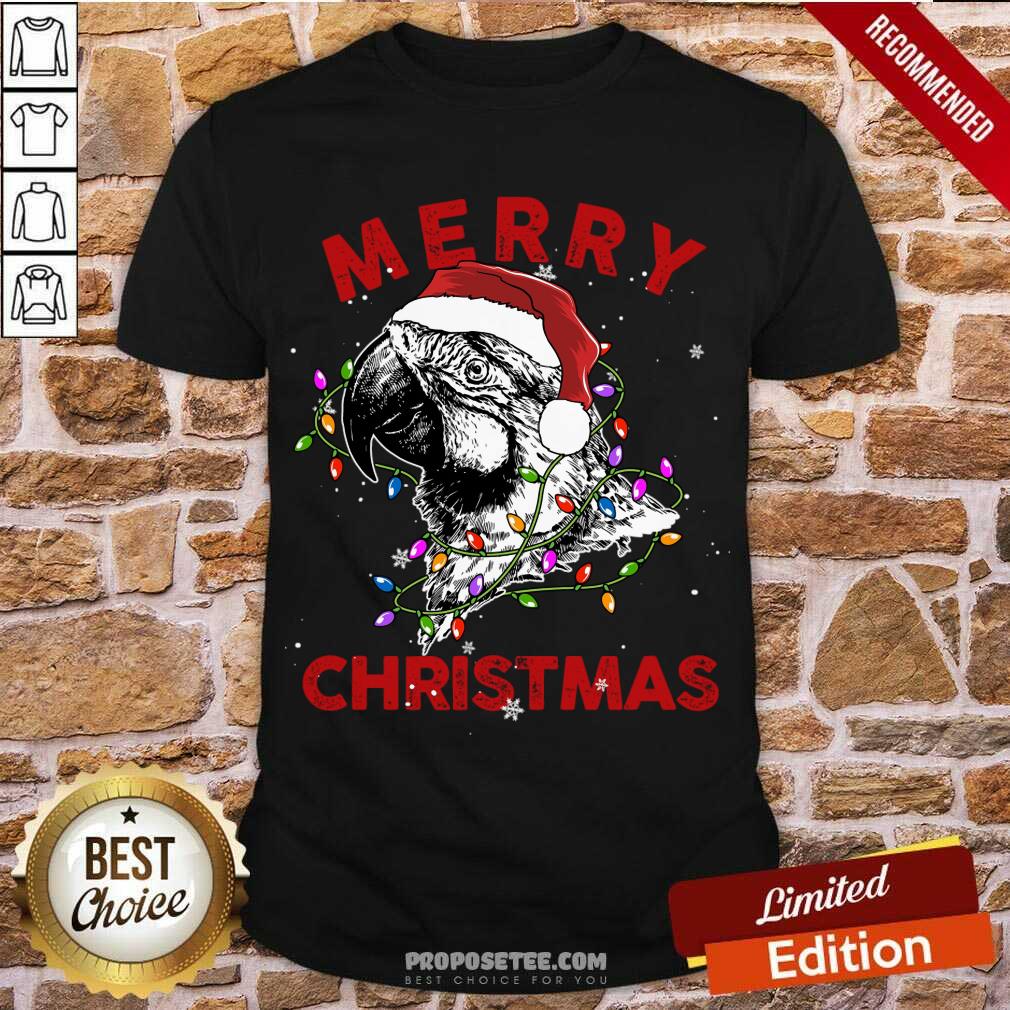 Pretty Parrot Santa Lights Merry Christmas Shirt