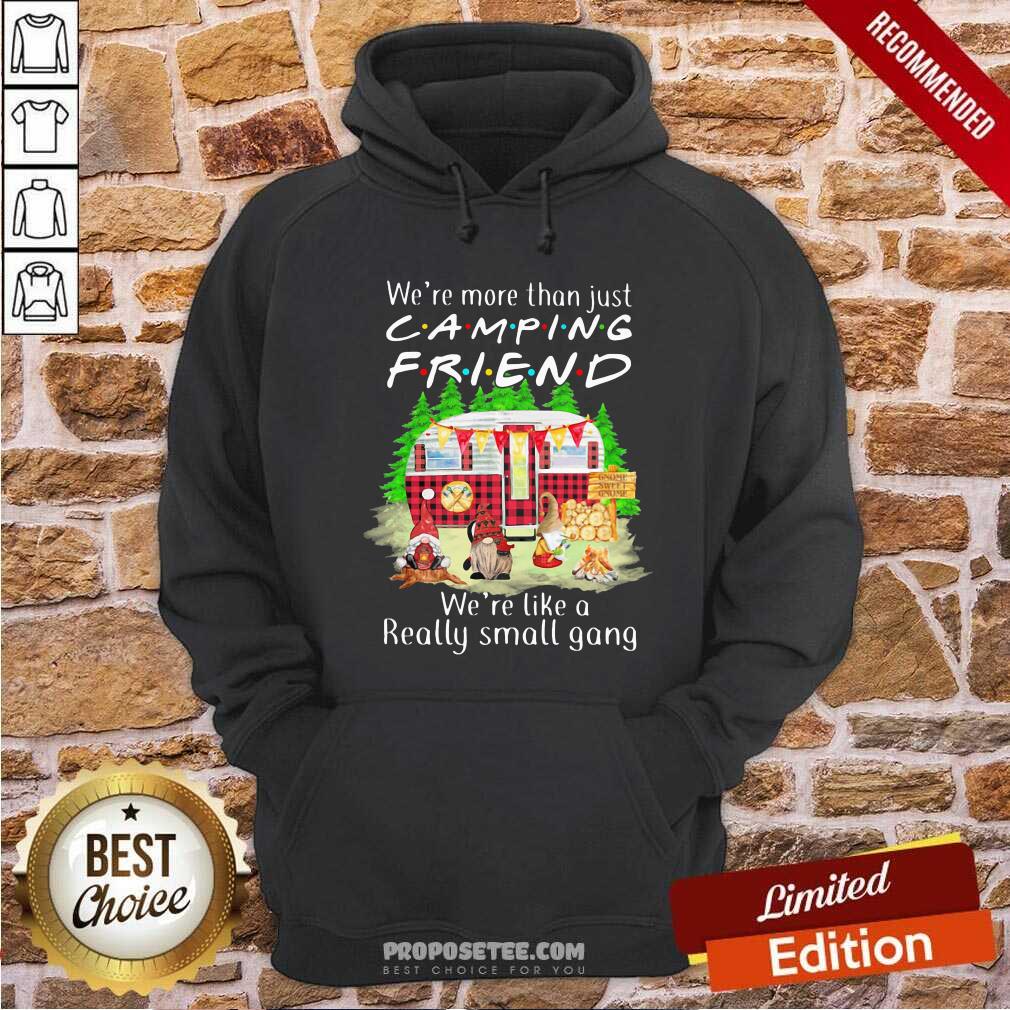 Pretty We’re More Than Just Camping Friend We’re Like A Really Small Gang Gnome Xmas Shirt - Image 2