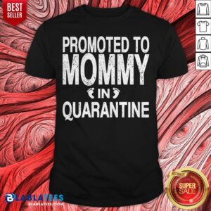 Promoted To Mommy In Quarantine Pregnancy Announcemet Shirt