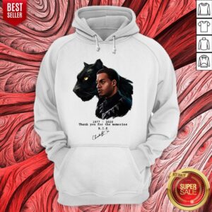 Alternative view of RIP Black Panther's Chadwick Boseman 1977 2020 Shirt