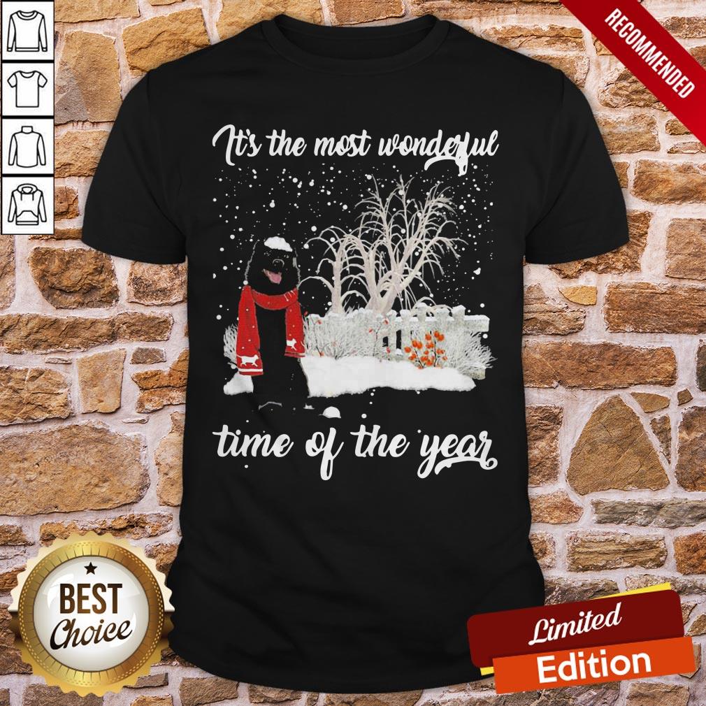 Schipperke It’s The Most Wonderful Time Of The Year Shirt