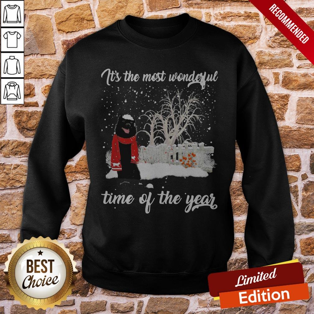 Schipperke It’s The Most Wonderful Time Of The Year Shirt - Image 4