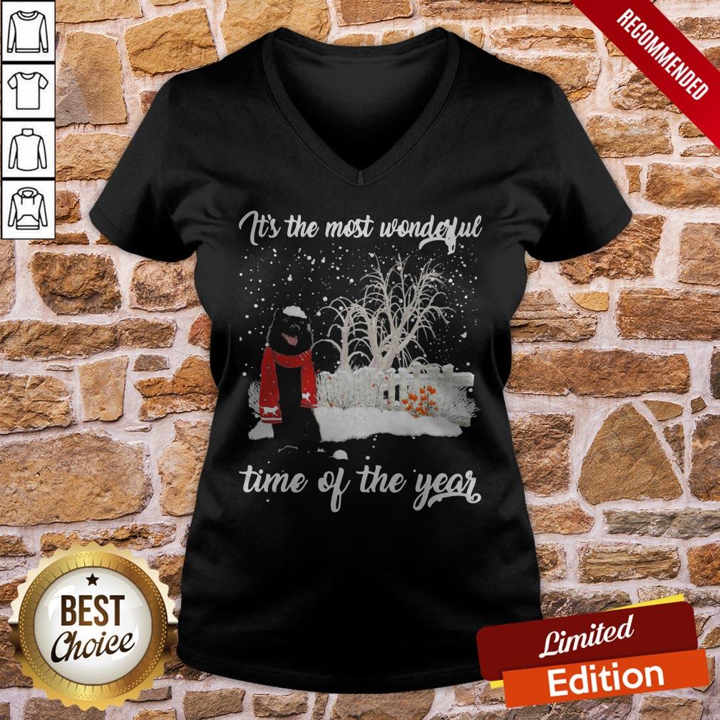 Schipperke It’s The Most Wonderful Time Of The Year Shirt - Image 2