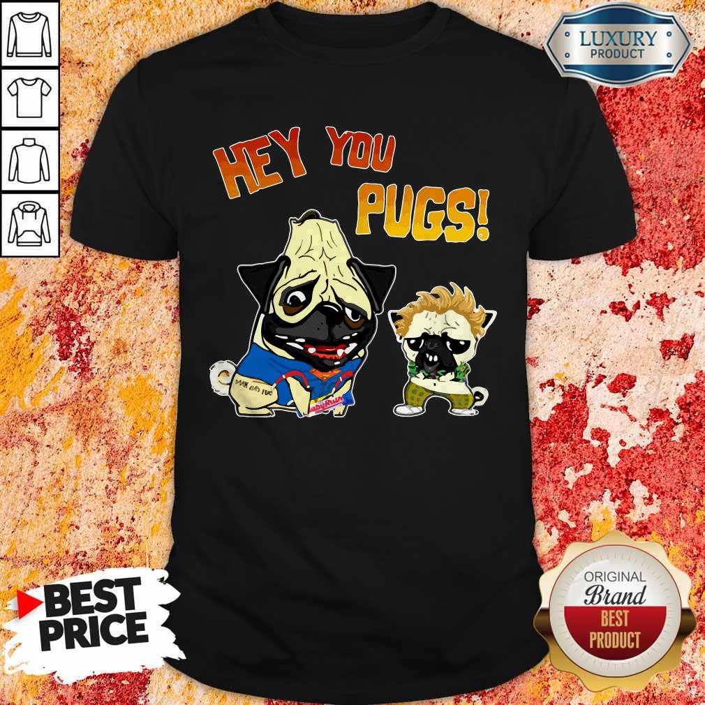 Super Nice I Would Like Hey You Pugs Shirt