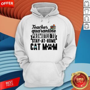 Alternative view of Teacher Quarantined Promoted To Stay At Home Cat Mom Shirt