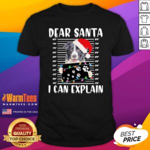 Top Border Collie Dear Santa I Can Explain Christmas Sweater Shirt