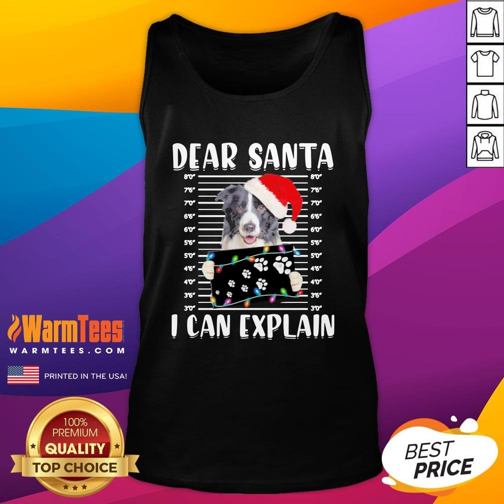 Top Border Collie Dear Santa I Can Explain Christmas Sweater Shirt - Image 3