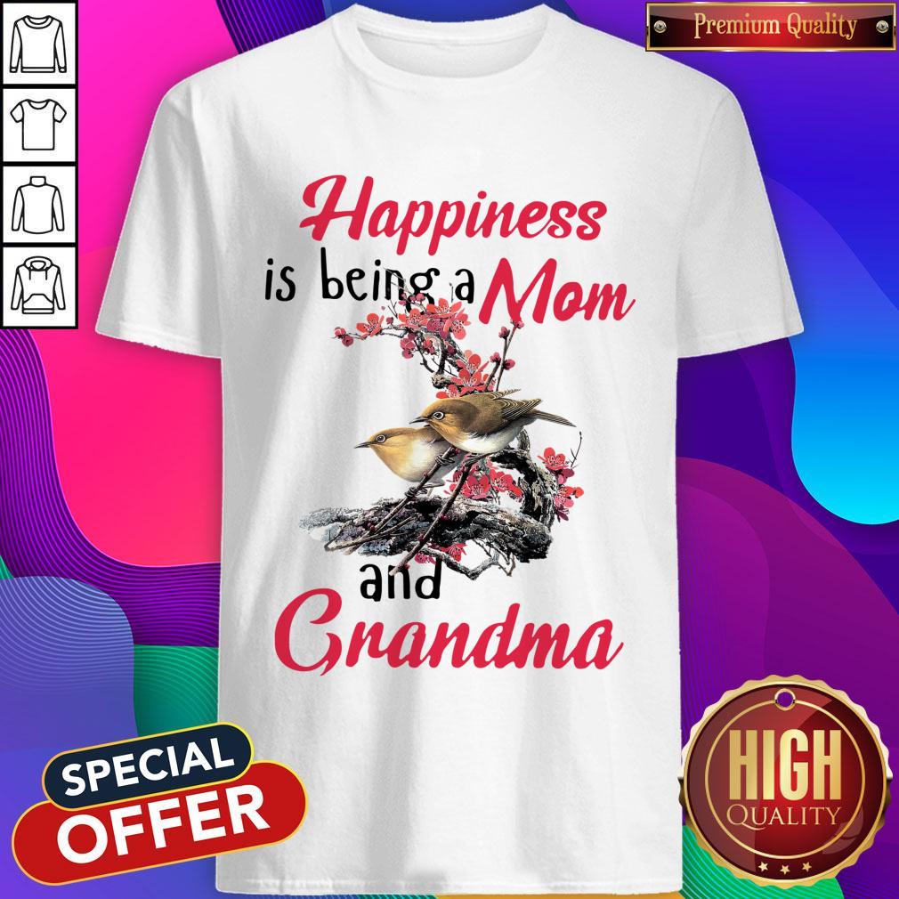 Top Happiness Is Being A Mom And Grandma Shirt