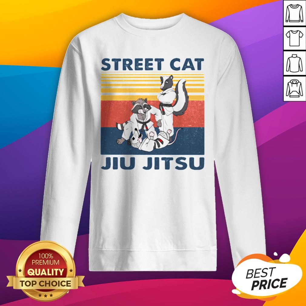 Top Raccoon Street Cat Jiu Jitsu Vintage Retro Shirt - Image 2