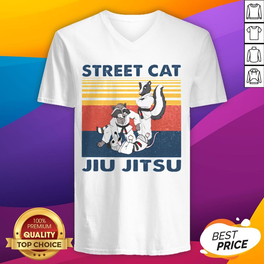 Top Raccoon Street Cat Jiu Jitsu Vintage Retro Shirt - Image 4