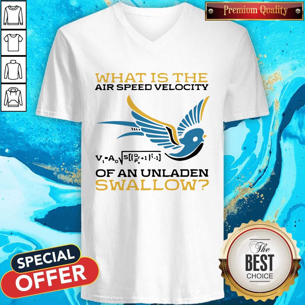 Top What Is The Airspeed Velocity Of An Unladen Swallow Shirt - Image 2