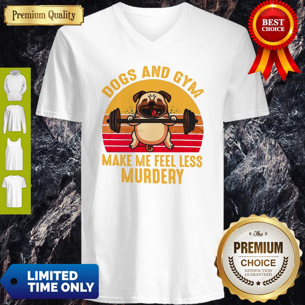 Nice Dogs And Gym Make Me Feel Less Murdery Sunset Vintage Shirt - Image 4
