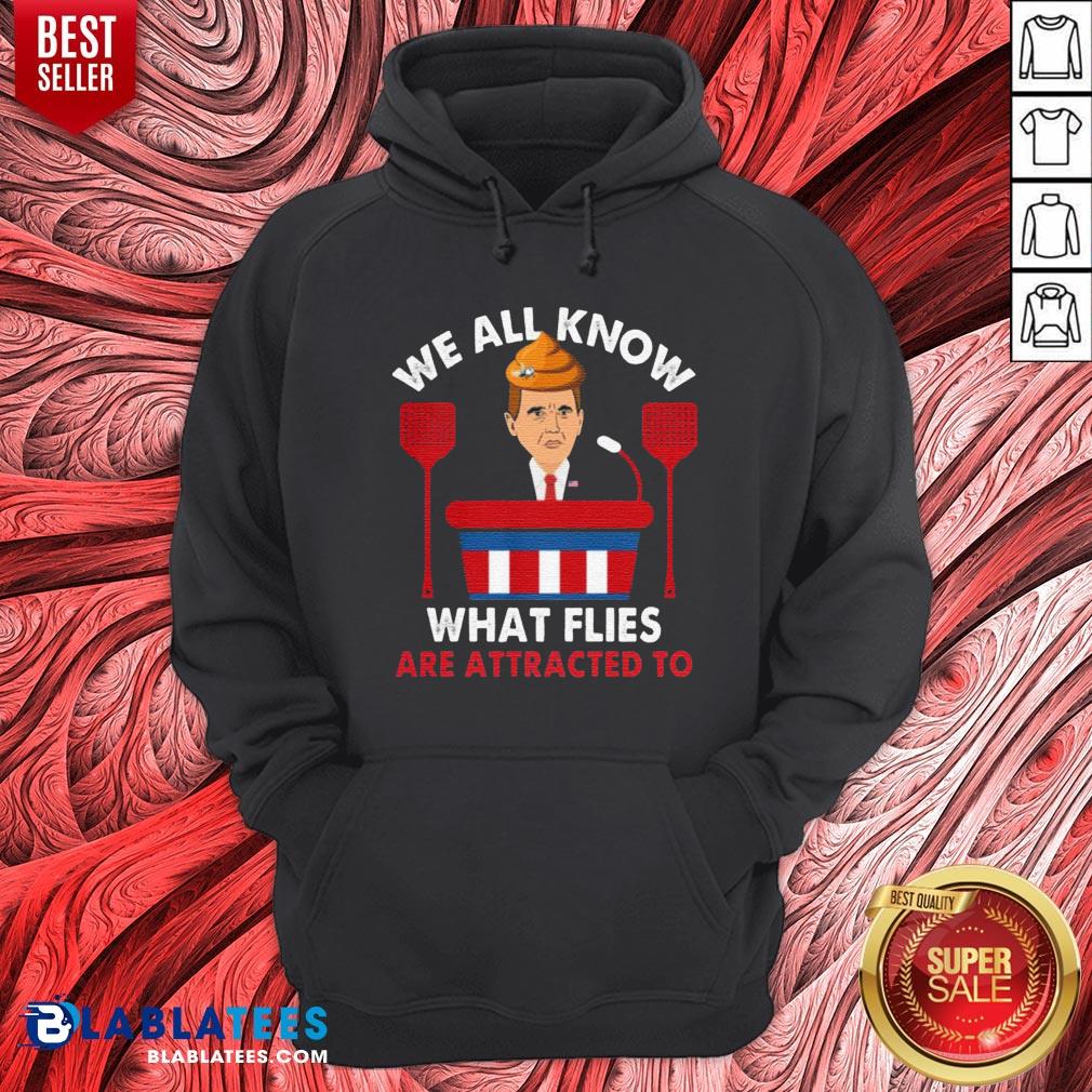 We All Know What Flies Are Attracted To Funny Pence 2020 VP Debate Shirt - Image 3