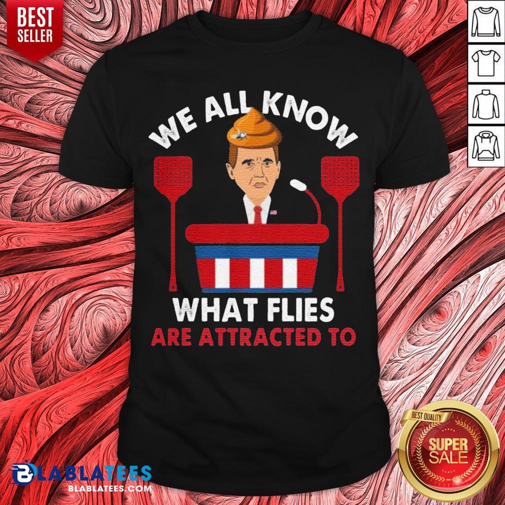 We All Know What Flies Are Attracted To Funny Pence 2020 VP Debate Shirt
